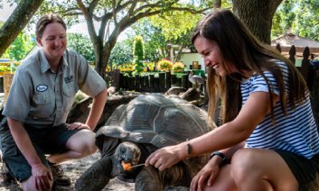 Aldabra-Tortoise-insider-tour