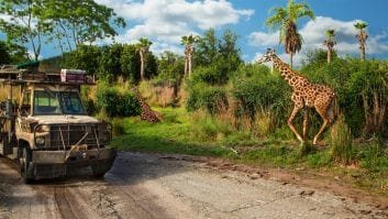 kilimanjaro-safaris-gallery02-e1580586914952-min